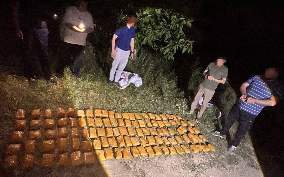 Тошкент вилоятида салкам 95 кг гашиш гиёҳвандлик воситаси аниқланди