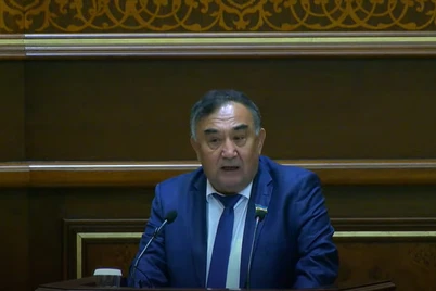 “Дарахткуш”ларга қарши жарима оширилмоқда, ҳатто қамоққа олиш жазоси ҳам белгиланмоқда