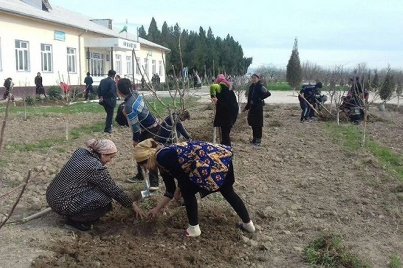 Pedagoglarni majburiy mehnatga jalb qilganlik uchun javobgarlik yanada kuchaytirilishi kutilyapti