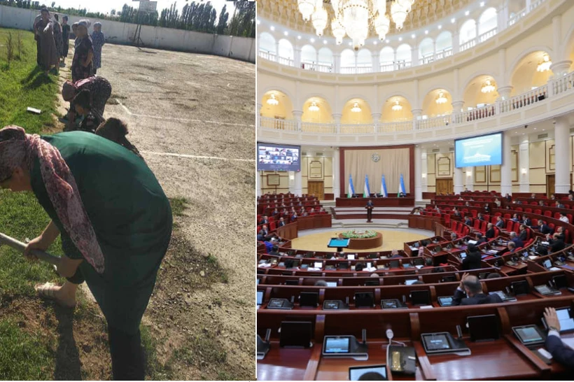 Саида Мирзиёевани ранжитган масалага депутатлар жим қараб турмади