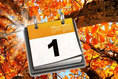 1 noyabrdan Oʻzbekistonda nimalar oʻzgaradi?