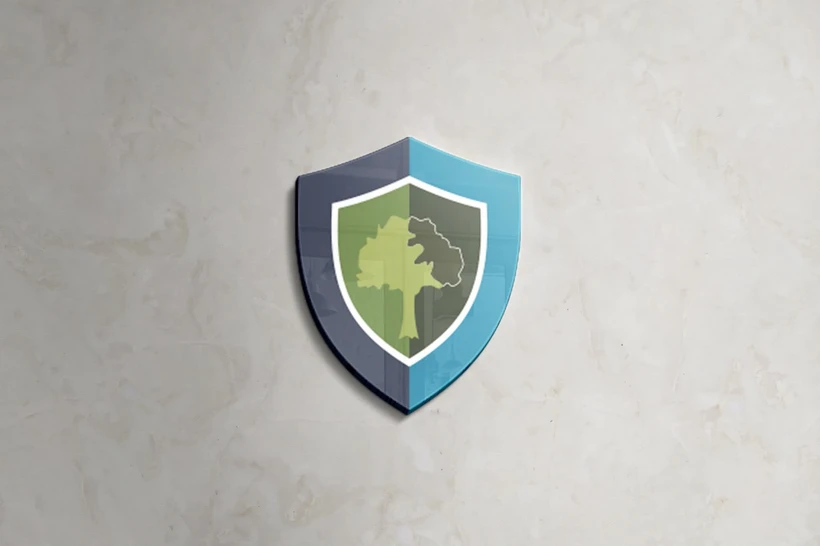 Ekologiya vazirligi Vazirlar Mahkamasi tizimidan chiqariladi