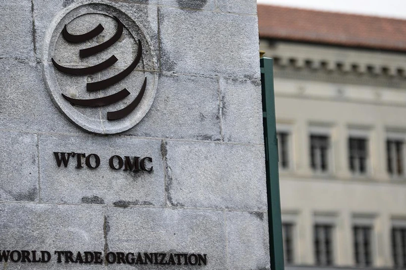 Oʻzbekistonni JSTga aʼzolikdan soʻng nimalar kutmoqda?