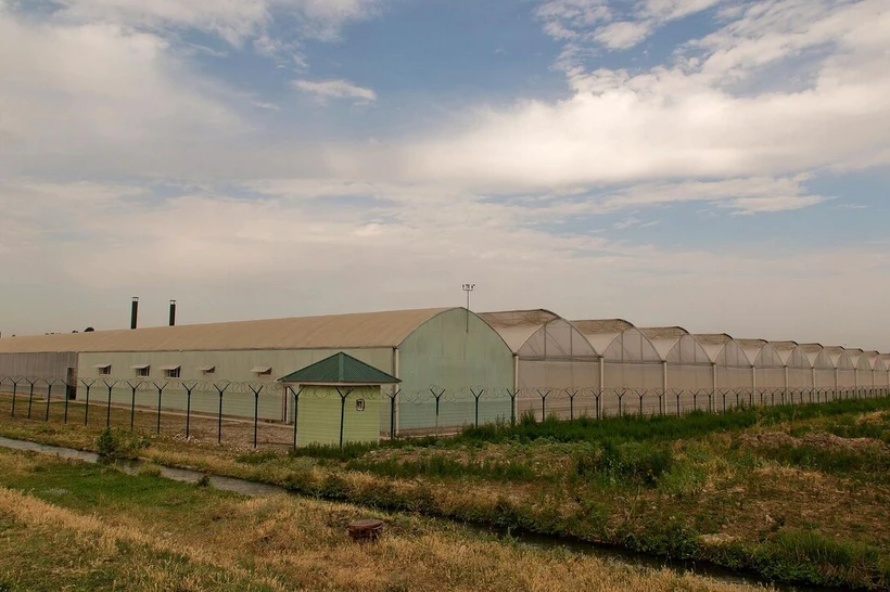 Issiqxonalarda ekologiya boʻyicha tartib kuchaytiriladi