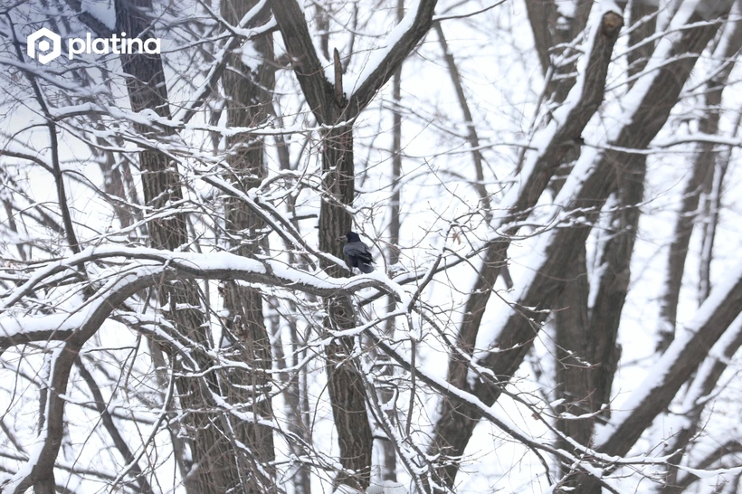 Ўзбекистон ҳудудига нам ва совуқ ҳаво массалари кириб келади