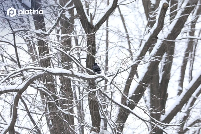 Ўзбекистон ҳудудига нам ва совуқ ҳаво массалари кириб келади