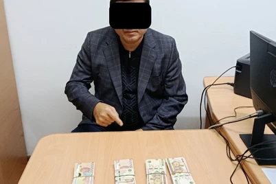 Навоий давлат университети мансабдори ушланди