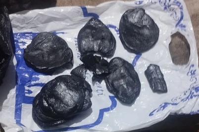 Қорақалпоғистонда наркосавдогарлар ушланди