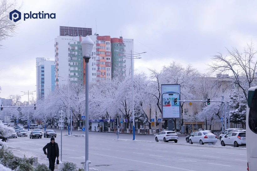 Ўзбекистон ижара бозори 11,6 триллион сўмга етди