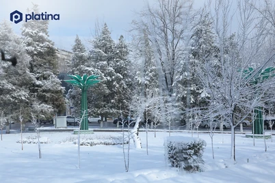 Ўзбекистонда ҳаво ҳарорати кескин тушиб, қор ёғиши кутилади