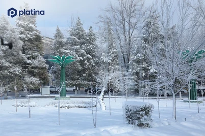 Ushbu haftada harorat pasayib, qor yogʻishi kutiladi