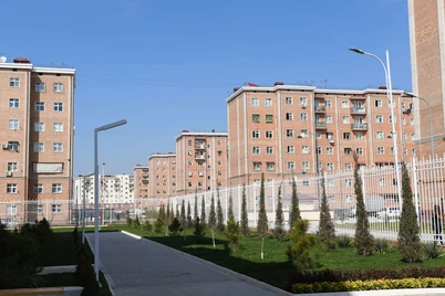 Кўп квартирали уйлар жойлашган ҳудуддаги дарахт ва буталар хатловдан ўтказилади