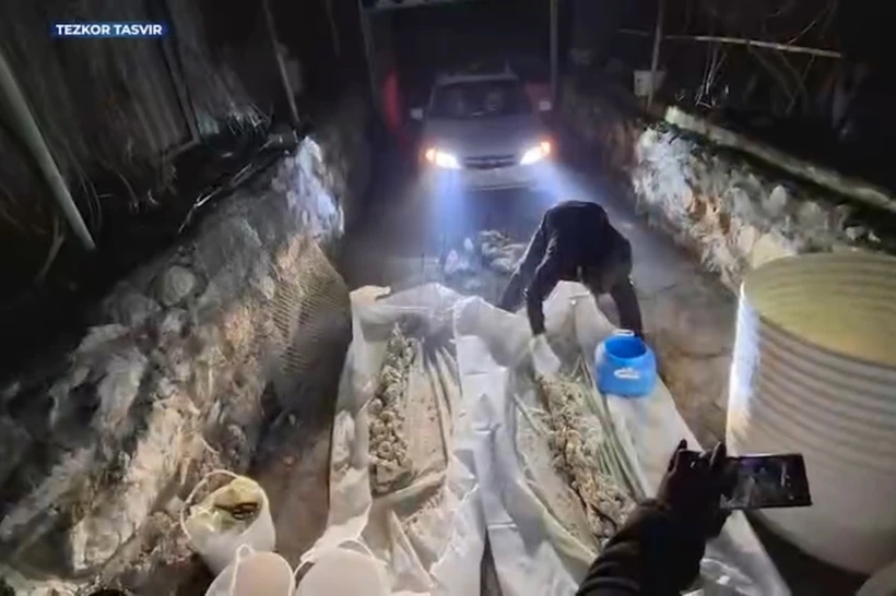 Андижондаги нарколабораториядан 1 млн долларлик моддалар топилди