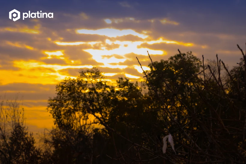 Айрим ҳудудларда ҳарорат 25 даражагача кўтарилади