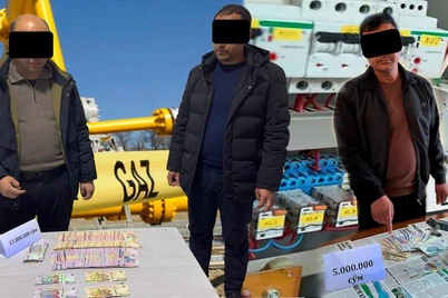 Наманган ва Сурхондарёда энергетика ходимлари ушланди