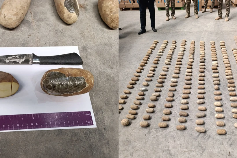 Kartoshka orasiga yashirilgan 72 kg narkotik fosh etildi