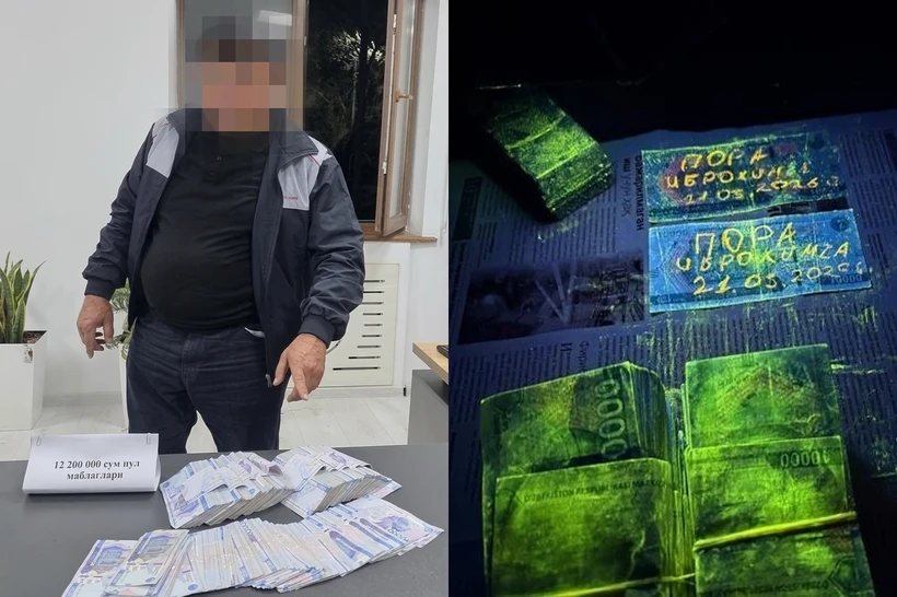 Прокуратура департаменти сохта ходими қўлга олинди