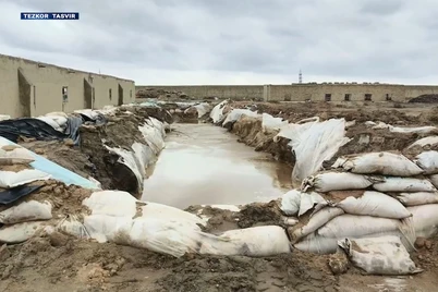 Навоийда ноқонуний олтин қазиб олувчи гуруҳлар қўлга олинди