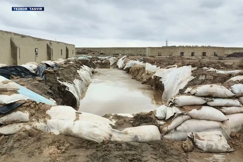 Навоийда ноқонуний олтин қазиб олувчи гуруҳлар қўлга олинди