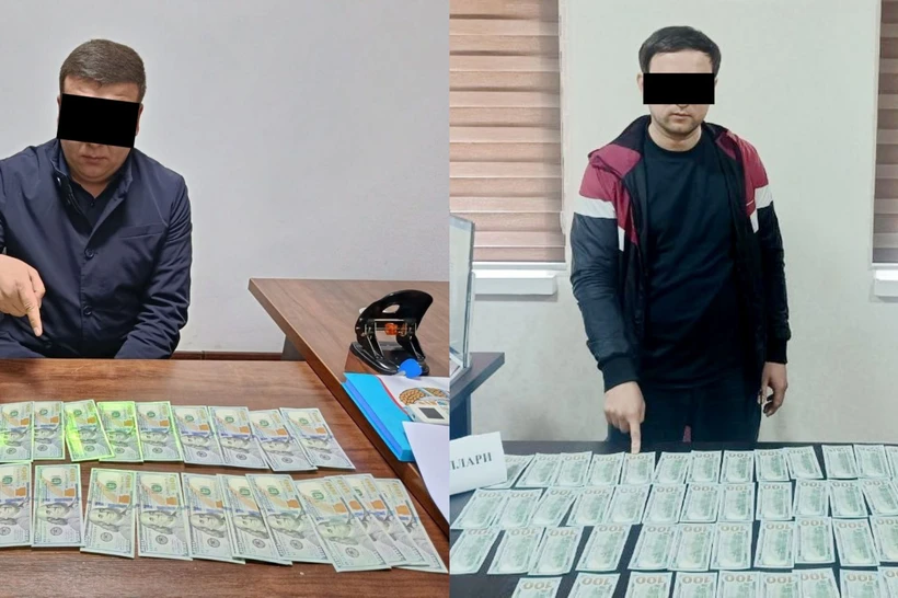 Isroil va Bolgariyaga yuborish evaziga pul talab qilganlar ushlandi