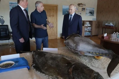 Путин илк бор Курил оролларига борди: Япония кескин норозилик билдирди