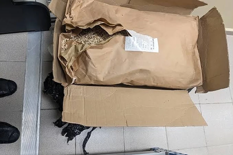 Rossiyadan Oʻzbekistonga uchayotgan shaxs yukidan 31 kg radiaktiv modda topildi
