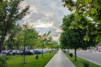 Oʻzbekistonda havo harorati keskin pasayadi
