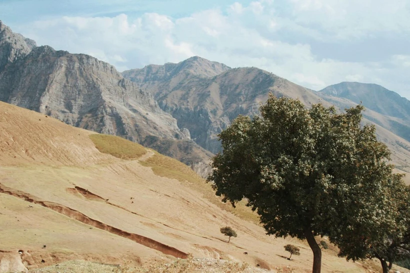 Avgust oyida ob-havo qanday boʻladi? "Oʻzgidromet" maʼlumot berdi