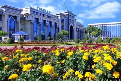 Toshkent hokimi koʻchat ekishga katta pul ajratdi