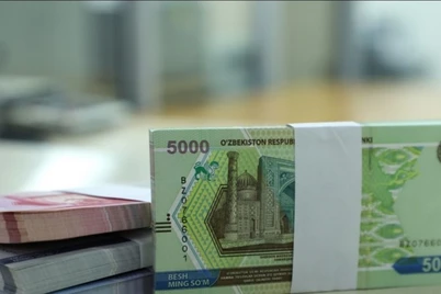 Yongʻin, suv toshqini, zilzila va boshqalardan zarar koʻrgan oilalarga BHMning 150 baravarigacha yordam beriladi