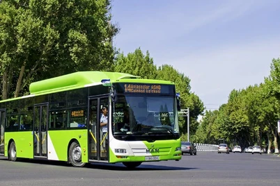 Hayit kuni jamoat transporti bepul xizmat koʻrsatadi