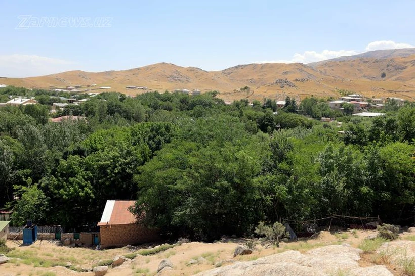 Oʻzbekistonda ob-havo harorati biroz pasayadi