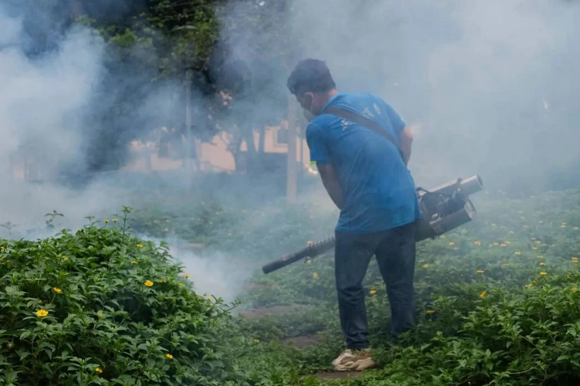 Xitoyda 7 mingdan ortiq chikungunya virusiga chalinish holatlari qayd etildi