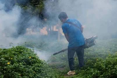 Xitoyda 7 mingdan ortiq chikungunya virusiga chalinish holatlari qayd etildi