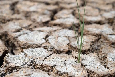 UNEP: иқлим Ўзбекистонда жазирама ва қурғоқчиликни қўзғатмоқда