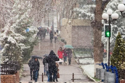 Talabalar uchun qishki taʼtil sanasi eʼlon qilindi