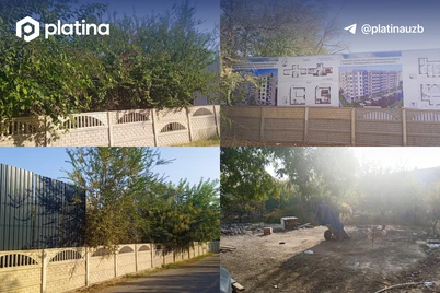 Hech kim amal qilmayotgan qoʻshaloq moratoriy