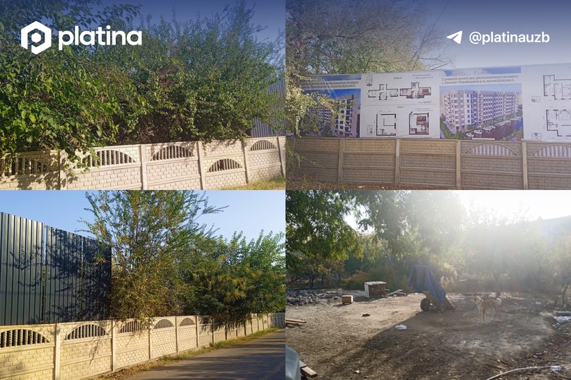 Hech kim amal qilmayotgan qoʻshaloq moratoriy