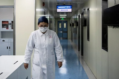 Xitoyda metapnevmovirus shiddat bilan tarqala boshladi