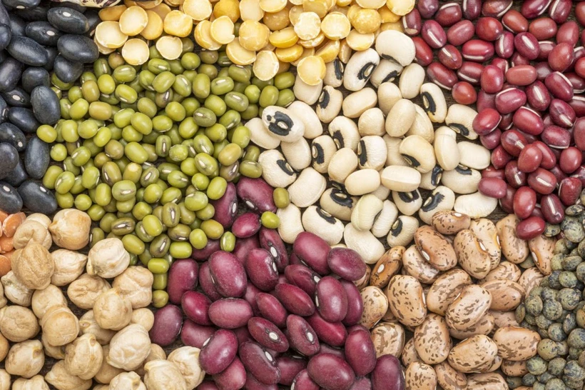 Dukkakli oʻsimliklarning oʻta foydali tomonlari aniqlandi