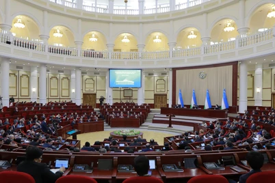 Senat Konstitutsiya loyihasini maʼqulladi