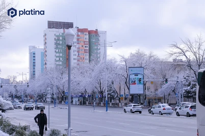 Yangi yilni yana qorsiz kutib olishimiz mumkin