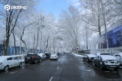 Ўзбекистон шимолида 8-13 даражагача совуқ бўлиши кутиляпти