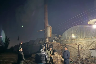 Тошкент ҳавосини ифлослантирган иссиқхоналар жаримага тортилди