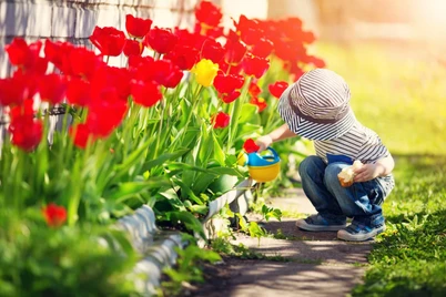 Bu hafta quruq havo kuzatiladi