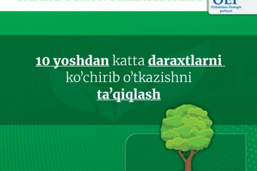 10 yoshdan katta daraxtlarni koʻchirib oʻtkazishni taqiqlash taklif etilyapti