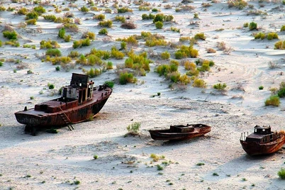 Yer resurslarining yomonlashuvi har yili $830 mln zarar keltiradi