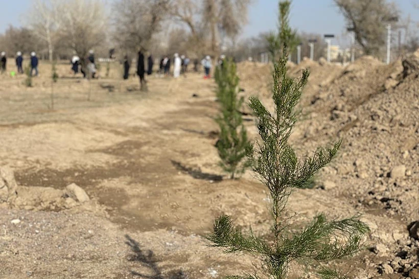 Қўшиб ёзиш бўйича прокуратура ўрганиш ўтказади