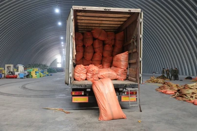 Наркожиноятлар учун жавобгарлик кескин кучайтирилади