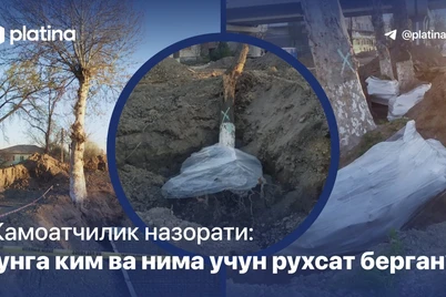 Jamoatchilik nazorati: bunga kim va nima uchun ruxsat bergan?